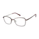 Aristar AR18442 Eyeglasses