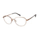 Aristar AR18443 Eyeglasses