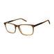 Aristar AR18657 Eyeglasses