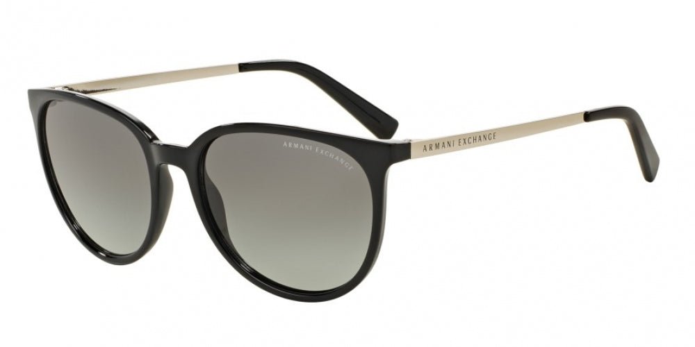 Armani Exchange™ AX4113S Rectangle Sunglasses | EyeOns.com