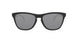 Oakley Frogskins 9013 Sunglasses