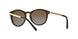 3106T5 - Havana - Brown Gradient Polarized