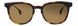 STATE Optical Co. SHERIDANSW Sunglasses