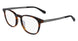 Spyder SP4003 Eyeglasses