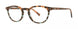 Seraphin DANBURY Eyeglasses