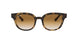 Ray-Ban 4324 Sunglasses