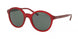 Polo 4112 Sunglasses