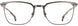 STATE Optical Co. WALTON Eyeglasses