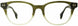 STATE Optical Co. TAYLORGF Eyeglasses