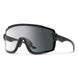 Smith Optics Sport & Performance 201516 Wildcat Sunglasses