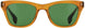 STATE Optical Co. DEWITTSUN Sunglasses