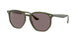 Ray-Ban 4306F Sunglasses