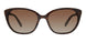 0S0R-LA - Brown Havana Pink - Brown Gradient Polz