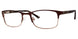 Banana Republic Roman Eyeglasses