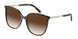 Tiffany 4184F Sunglasses