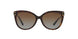 3006T5 - Havana - Brown Gradient Polarized