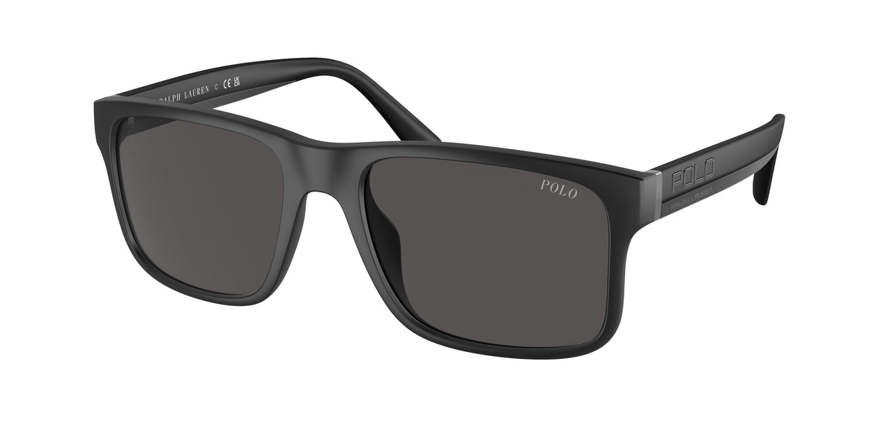 Polo 4195U Sunglasses