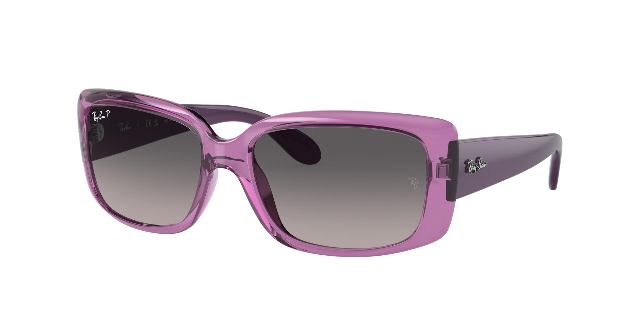 Ray-Ban 4389 Sunglasses