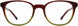 Scott Harris SH530 Eyeglasses