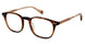 Ben Sherman BSLAWRENCE Eyeglasses