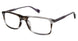 Ben Sherman BSNEWGATE Eyeglasses