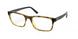 Polo 2212 Eyeglasses