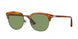 Persol Cellor 3105S Sunglasses