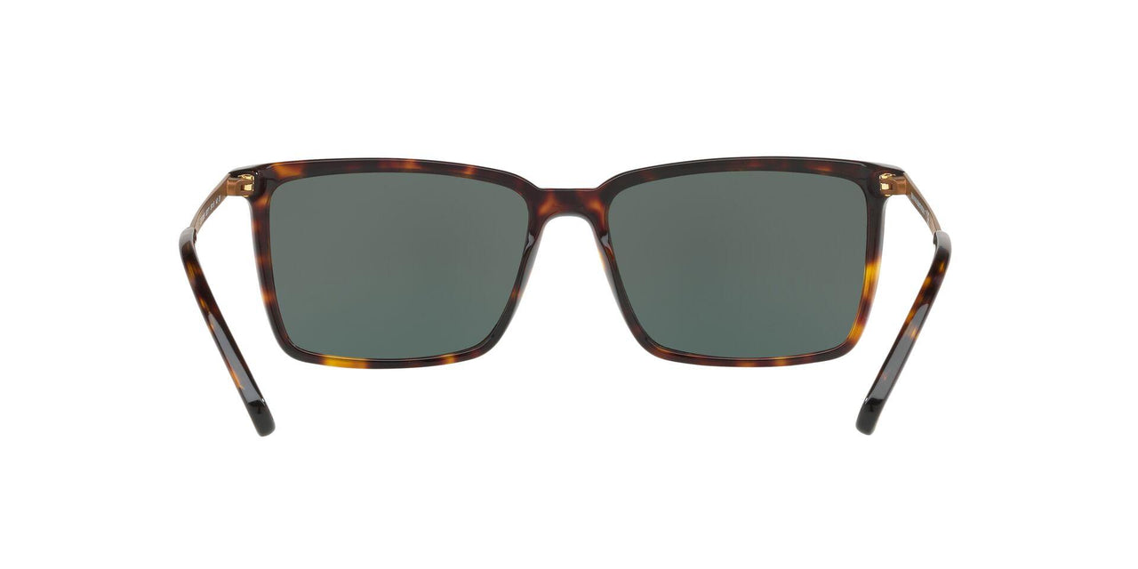 600171 - Dk Tortoise - Green Solid