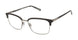 Buffalo by David Bitton BM520 Eyeglasses