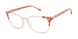 Buffalo by David Bitton BW026 Eyeglasses