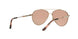 Burberry 3092Q Sunglasses