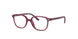 Ray-Ban Kids Leonard Jr 0RY9093V Eyeglasses