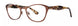 Vera Wang V385 Eyeglasses