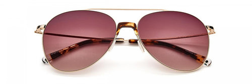 Paradigm 19-34 Sunglasses