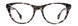 STATE Optical Co. RAVENSWOOD Eyeglasses