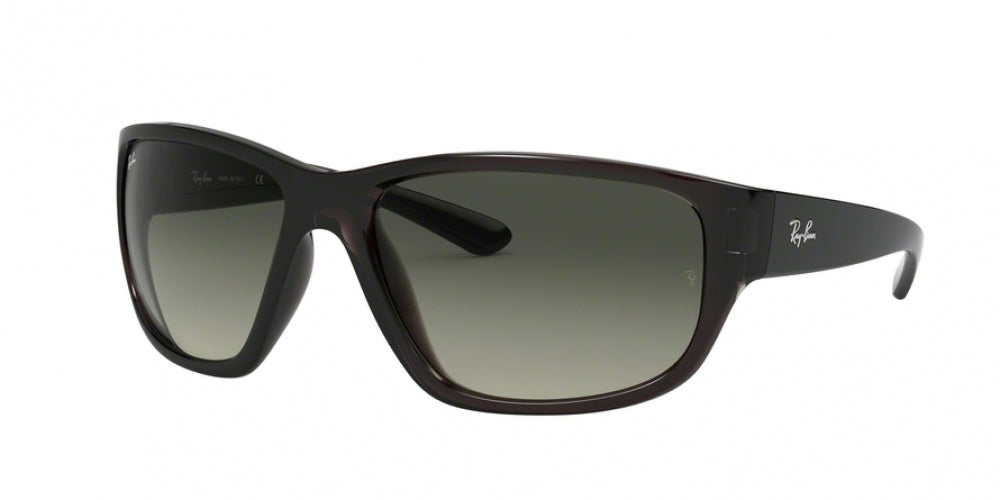 Ray-Ban 4300 Sunglasses