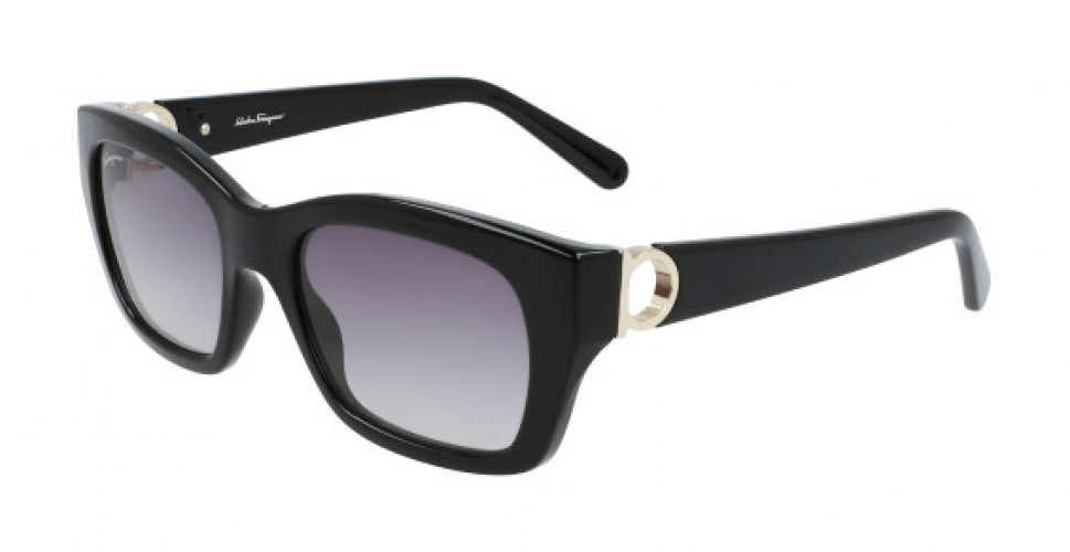 Salvatore Ferragamo SF1012S Sunglasses display picture 1