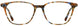 Scott Harris UTX SHX009 Eyeglasses