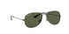 004/58 - Gunmetal - Crystal Green Polarized