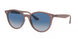 Ray-Ban 4305 Sunglasses