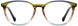 Scott Harris SH636 Eyeglasses