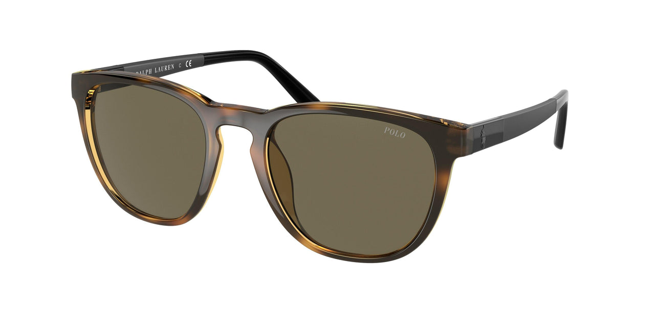 Polo 4182U Sunglasses