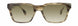 STATE Optical Co. WOLCOTTSW Sunglasses