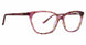 XOXO XOJOLIET Eyeglasses