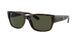 Ray-Ban 4388 Sunglasses