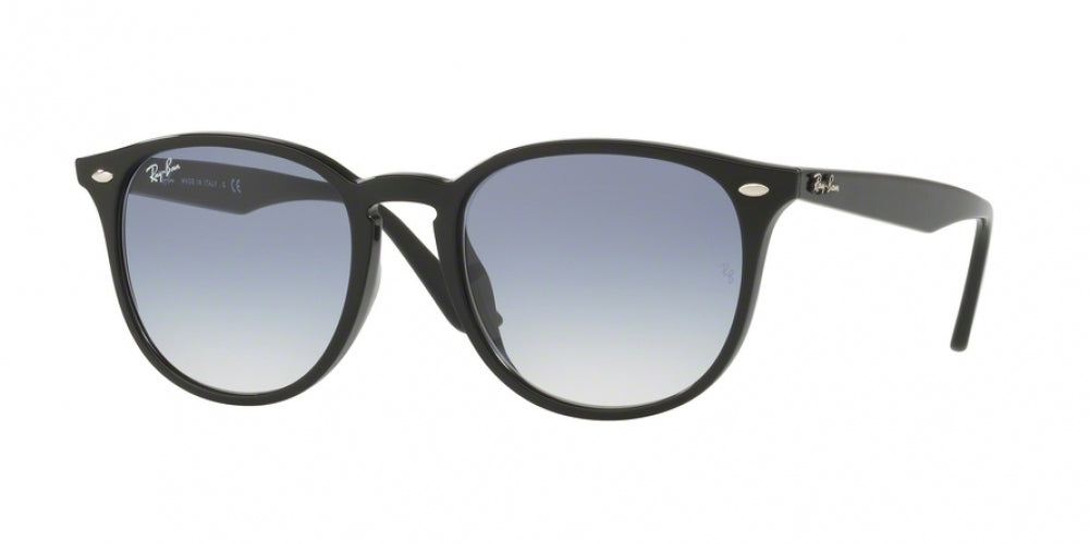 Ray-Ban 4259F Sunglasses