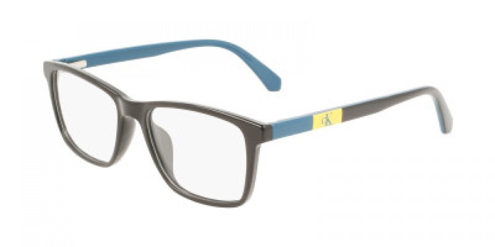 CALVIN KLEIN JEANS CKJ22302 Eyeglasses