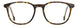 Carrera 1131 Eyeglasses