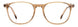 Carrera 1131 Eyeglasses