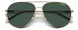 Carrera 2031T Sunglasses